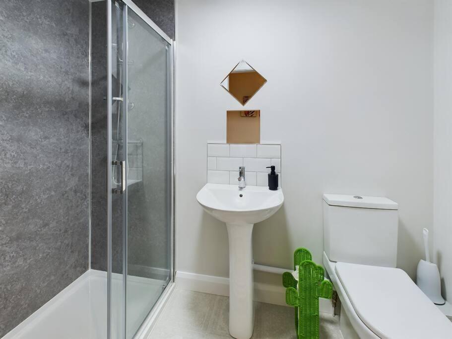 Contemporary 2-Bedroom Apartment Belfast Buitenkant foto
